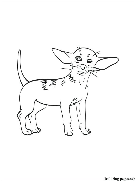 560x750 Doberman Coloring Pages Chihuahua Coloring Page Doberman Coloring
