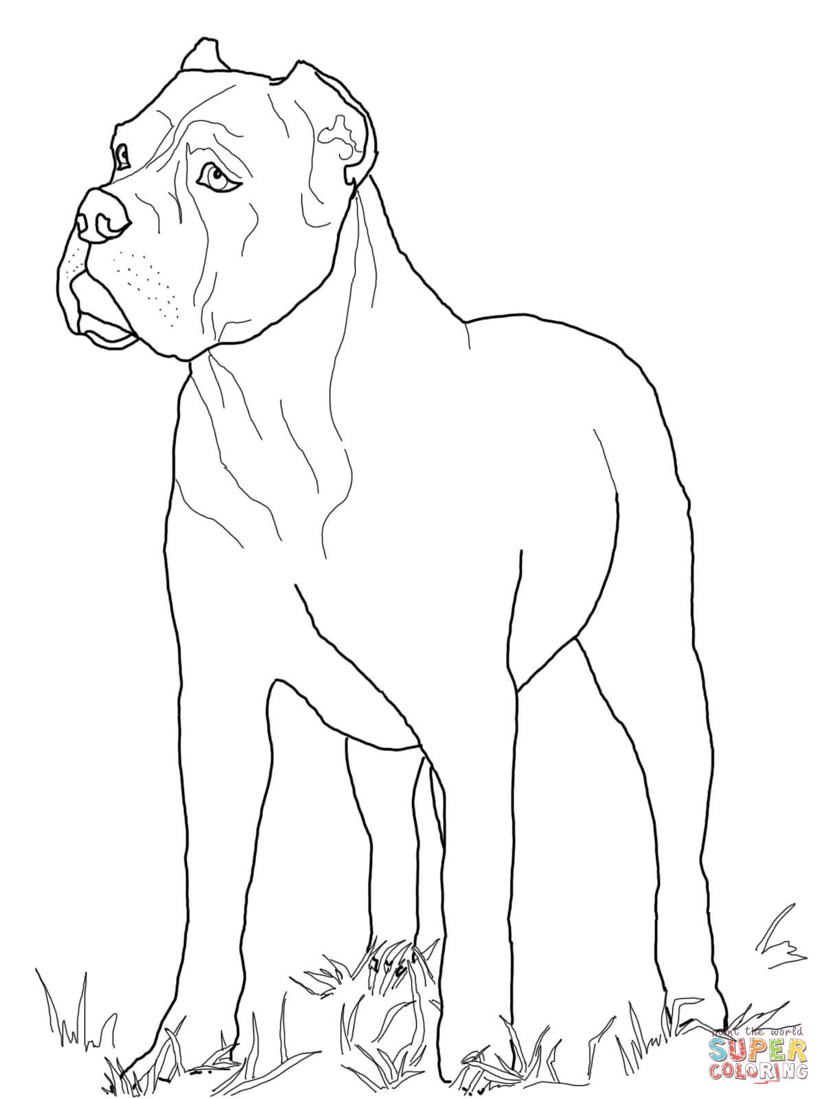 1200x1600 Doberman Coloring Pages Free Coloring Pages Of How To Draw A Doberman