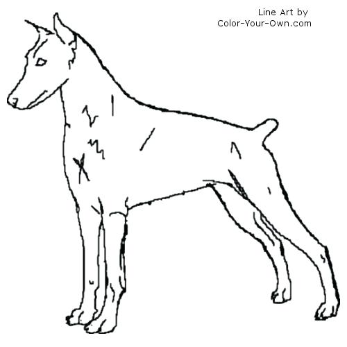 500x500 Doberman Colouring Pages Kids Coloring Doberman Coloring Pages