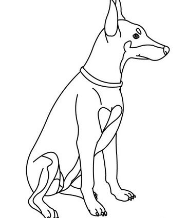 364x425 Doberman Coloring Pages Doberman Coloring Pages Hellokids