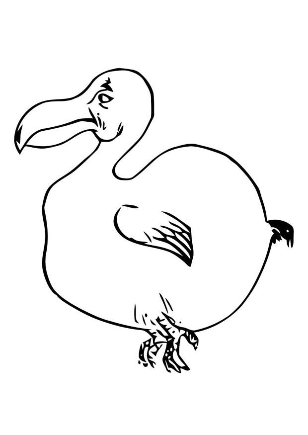 620x875 Coloring Page Bird