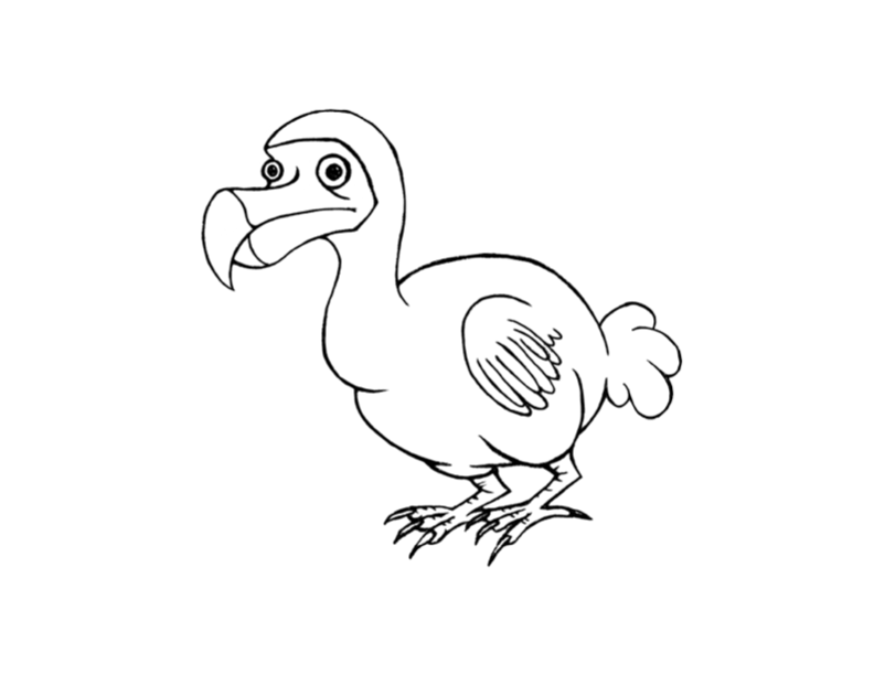 792x612 Dodo Bird Coloring Page Colordad