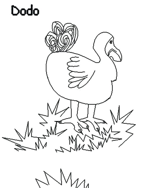 600x802 Grass Coloring Pages Dodo Bird Stepping On Grass Coloring Pages