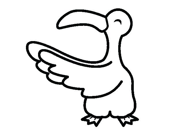 600x470 Seagull Coloring Page Coloring Pages Of Dodo Bird Seagull Coloring