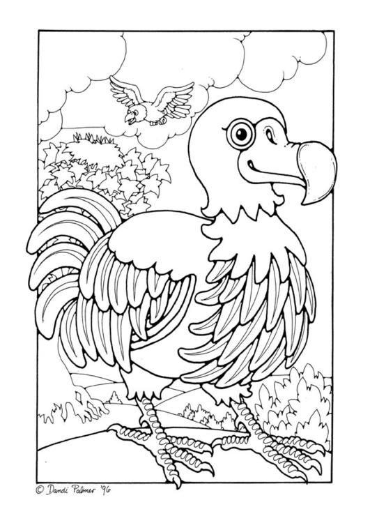 531x750 Coloring Page Dodo