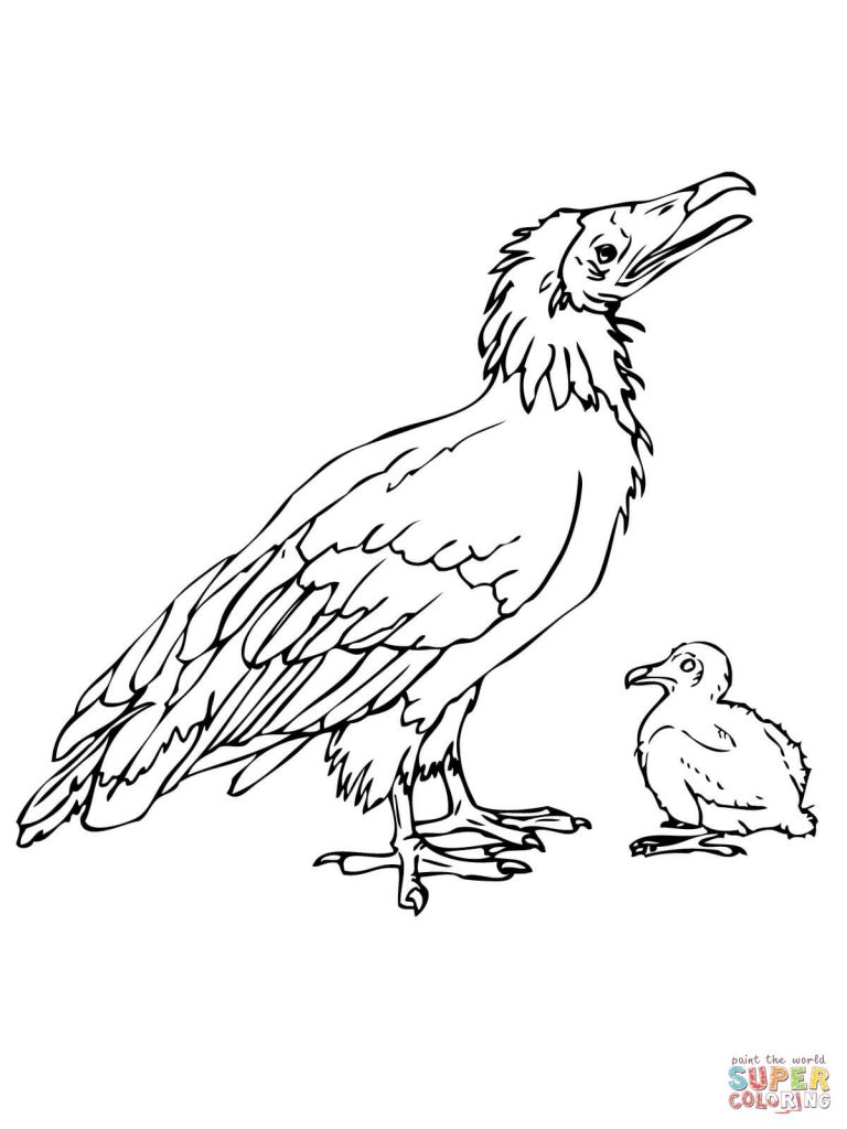768x1024 Dodo Bird With Chick Download Coloring Page