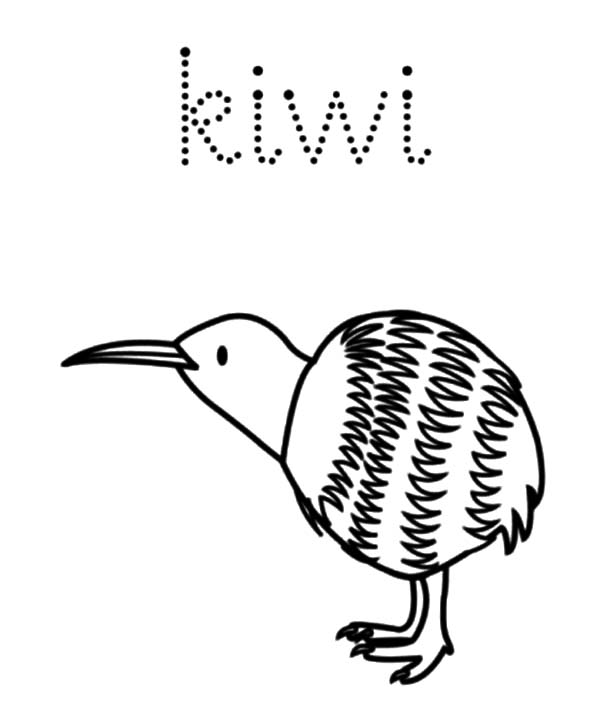 600x723 K Is For Kiwi Bird Coloring Pages