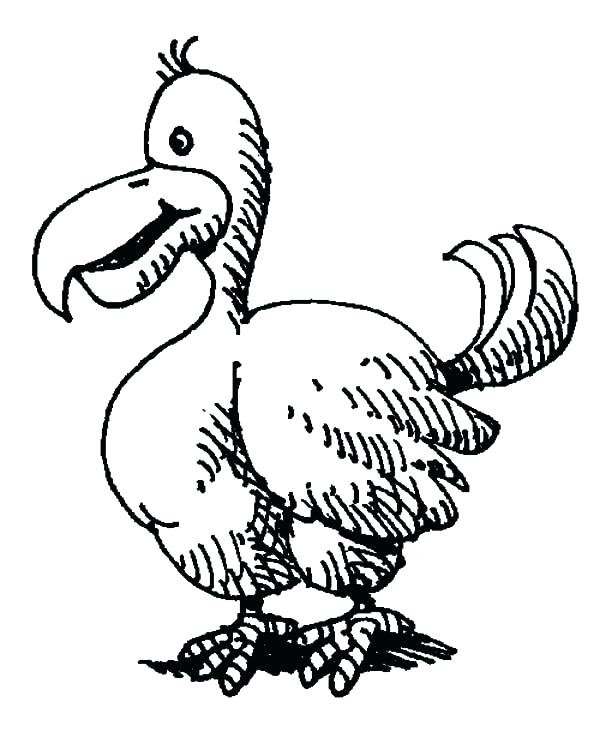600x738 Dodo Animal Coloring Pages Coloring Ideas Pro