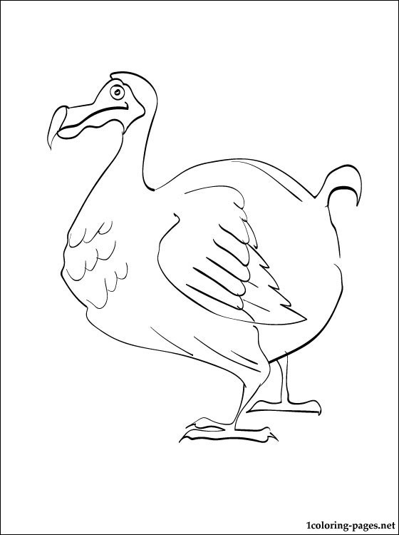 560x750 Coloring Card Dodo Bird Coloring Pages