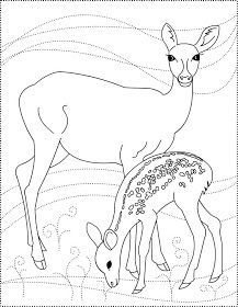 217x280 Family Deer Coloring Pages As A Deer Pants