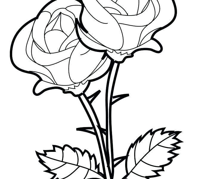 678x600 Browning Coloring Pages Browning Coloring Pages Online Rose Color