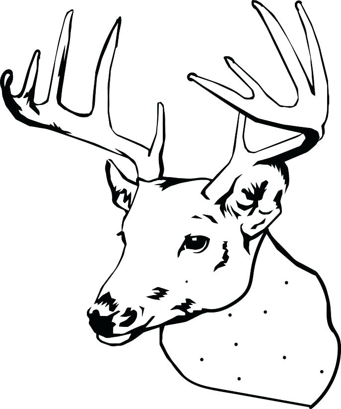 687x822 Classy Design Ideas Coloring Pages Draw A Deer Baby Baby Deer