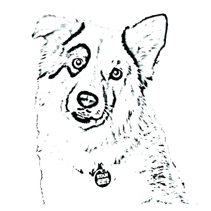 700x700 Dog And Cat Coloring Pages Printable Kids Coloring Coloring Pages