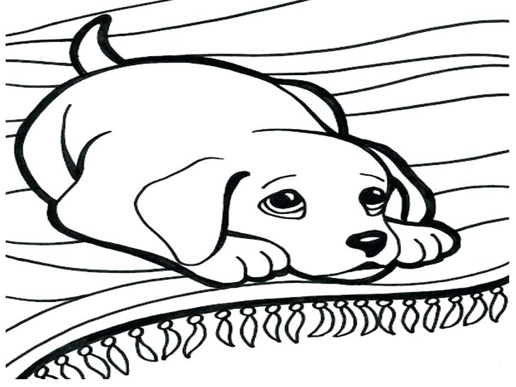 728x546 Coloring Page Of Dog Coloring Collection