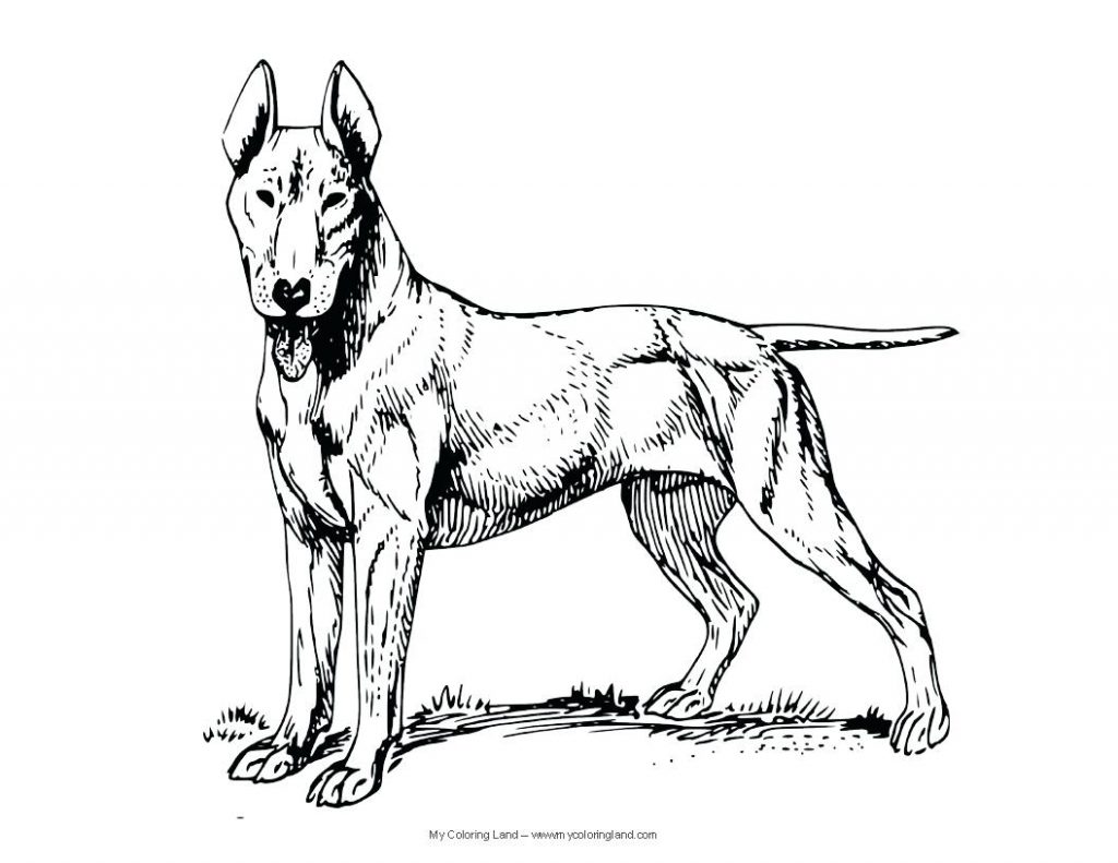 1024x791 Coloring Page Coloring Pages Dog Realistic For Children Tone