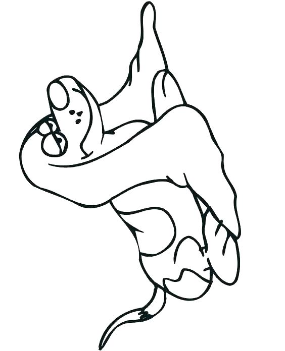 564x696 Coloring Pages Of Dog Bones Deepart