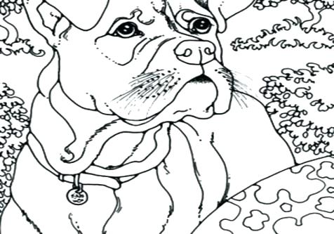 476x333 Boxer Coloring Pages Printable Coloring Birthday Cards For Grandpa