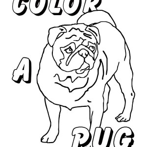 300x300 Boxer Dog Sitting In A Bowl Coloring Pages Best Place To Color