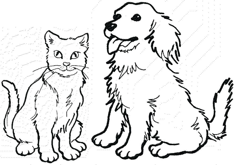 1000x700 Coloring Pages Dogs Breeds