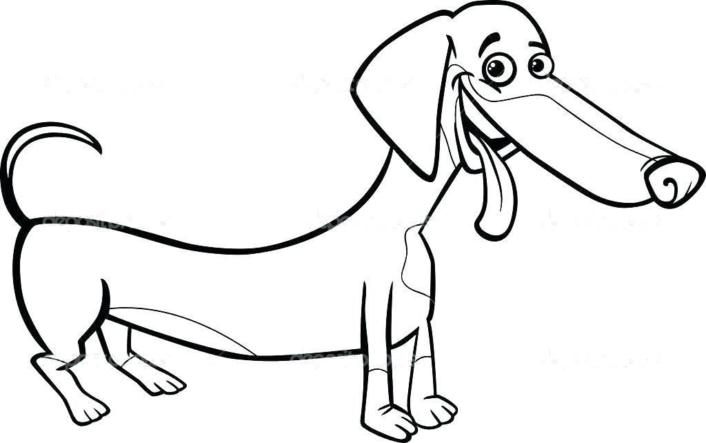 1024x642 Dachshund Coloring Pages Dachshund Coloring Pages Dachshund