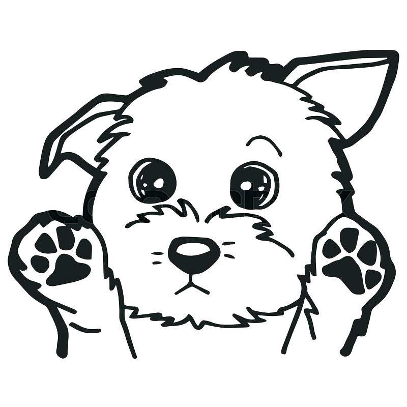800x800 Dog Coloring Page Cartoon Dog Coloring Pages A Cute Page Dog Breed