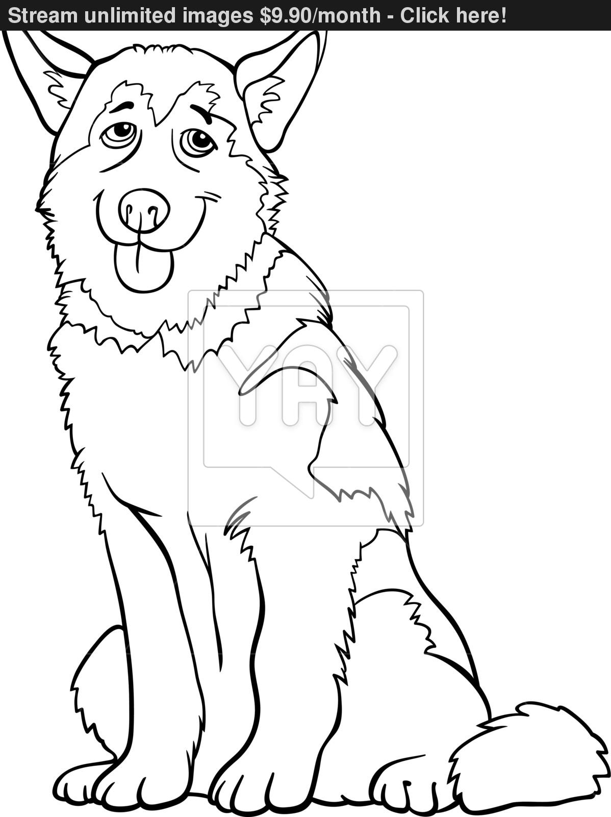 1198x1600 Siberian Husky Coloring Page Pencil Drawing Free Printable Pages