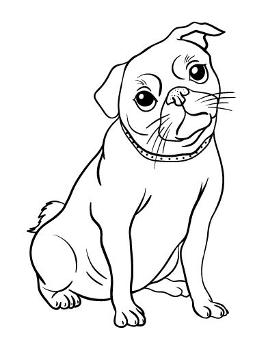 Dog Collar Coloring Pages