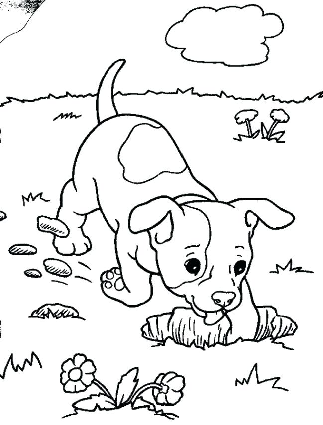 649x854 Print Color Pictures Cute Baby Dog Coloring Pages To Print Color