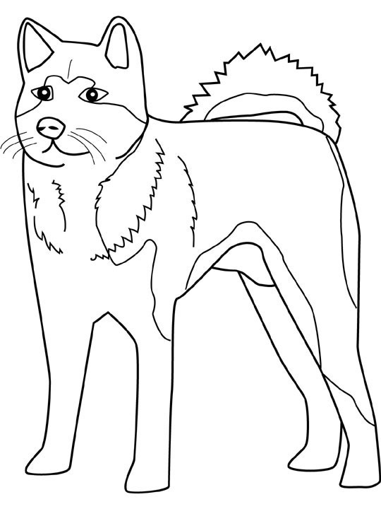 540x720 Dog Color Pages Printable Husky Coloring Sheets Dog Pic