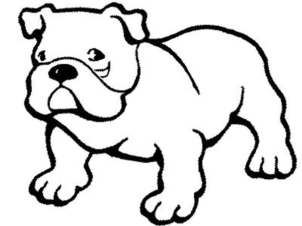 600x450 Pitbull Dog Coloring Page Color Luna