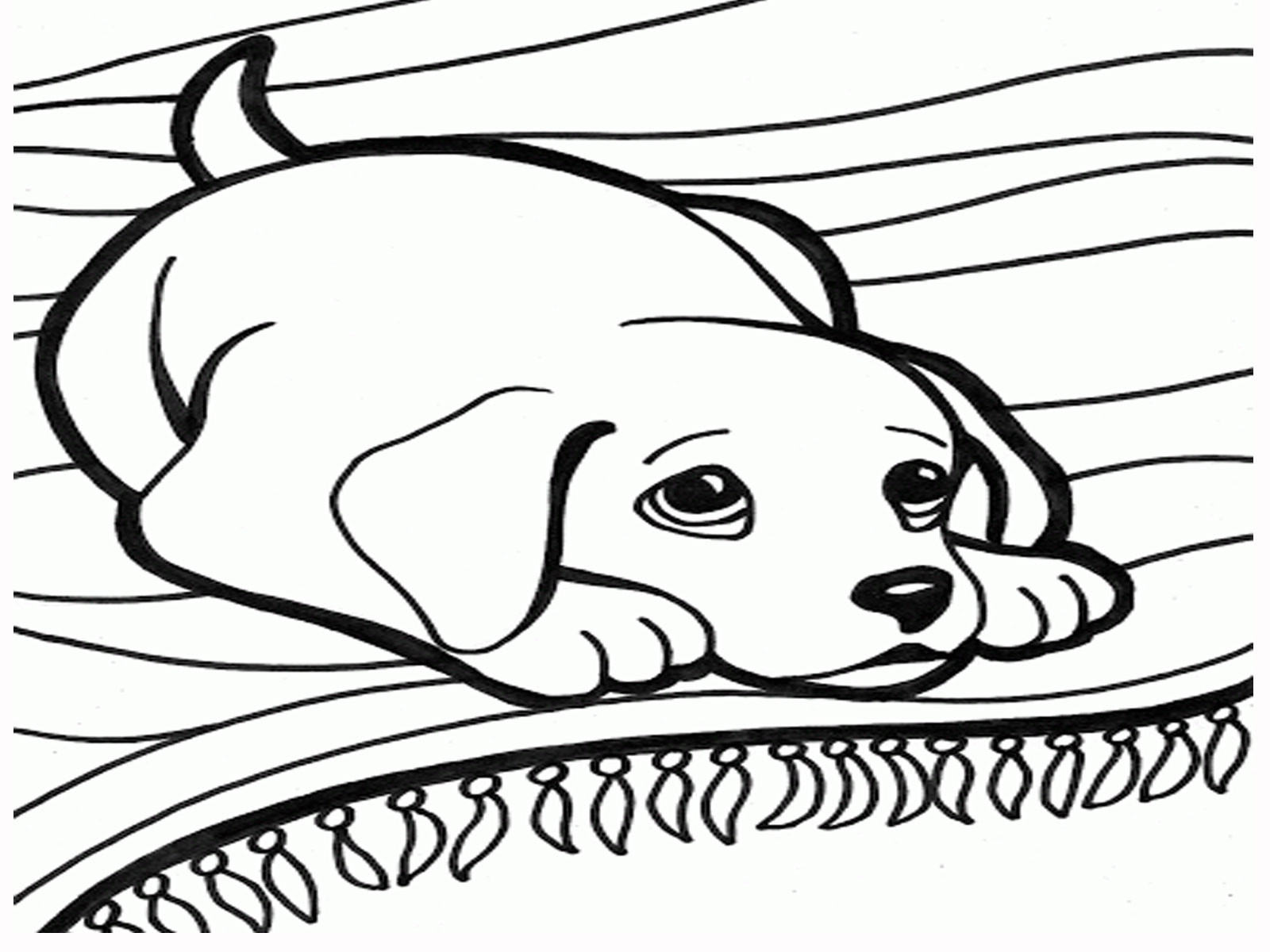 1600x1200 Dog Dogs Coloring Pages For Adults Justcolor In Wagashiya