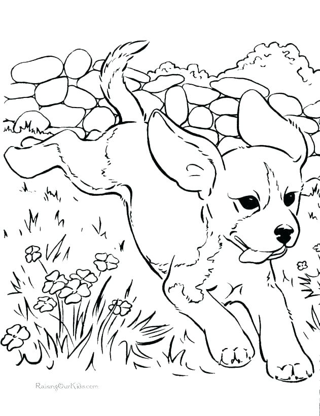631x820 Words Coloring Pages Sight Word Coloring Pages Sight Word Coloring