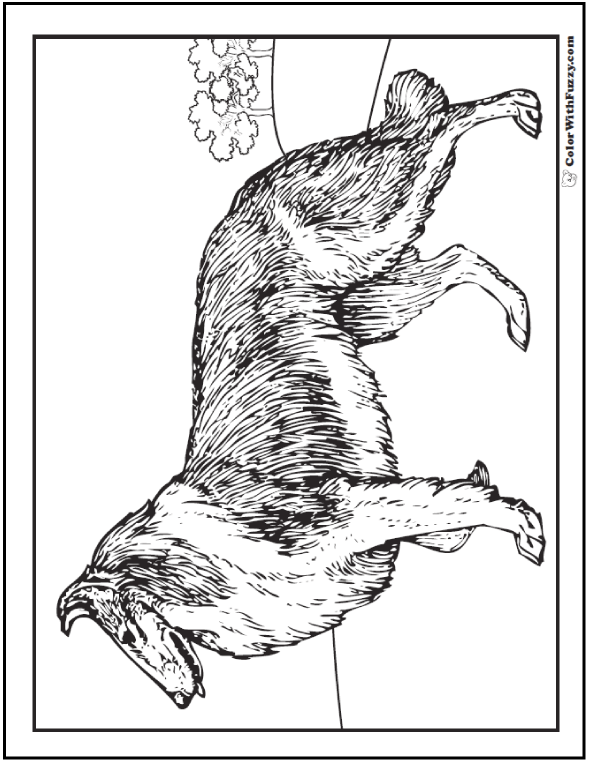 590x762 Dog Coloring Pages Breeds, Bones, And Dog Houses