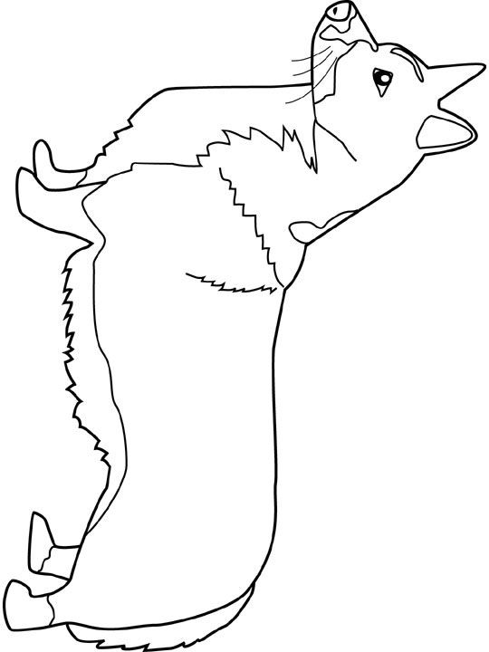 540x720 Dog Color Pages Printable Dogs Coloring Pages Welsh Corgi Dogs
