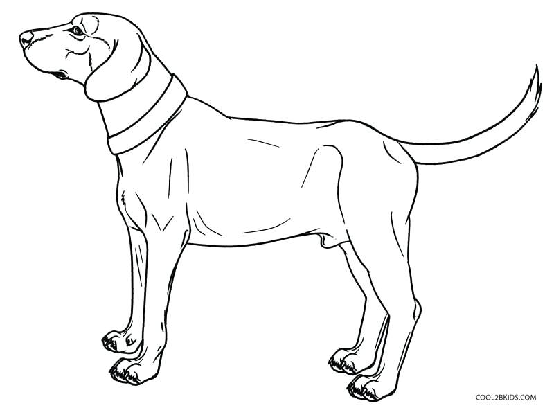 800x589 Dog Coloring Page Printable Pages For Kids Toddlers Murs