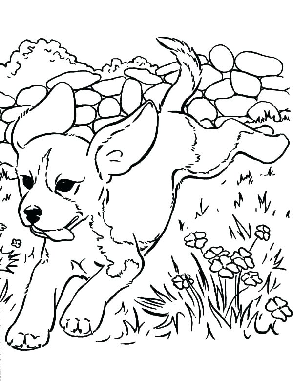 600x780 Free Puppy Coloring Pages Online Online Puppy Coloring Pages