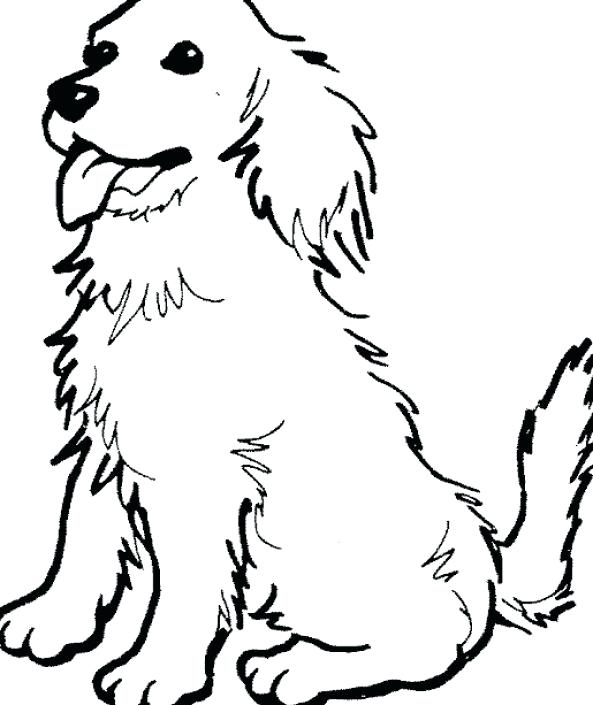 593x705 Free Animal Coloring Pages To Print
