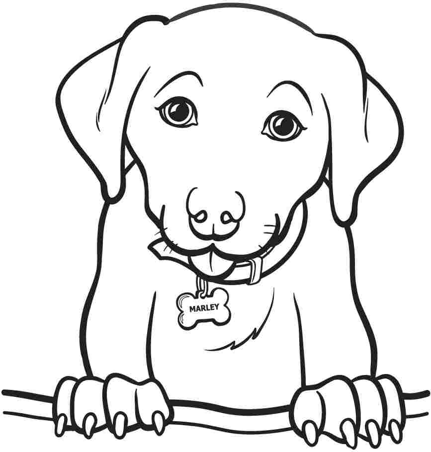 867x910 Printable Dog Coloring Pages For Girls Just Colorings