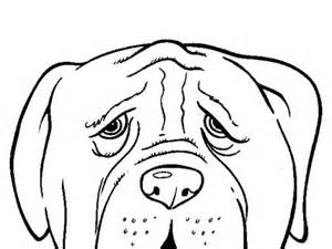 300x225 Dog Face Coloring Pages