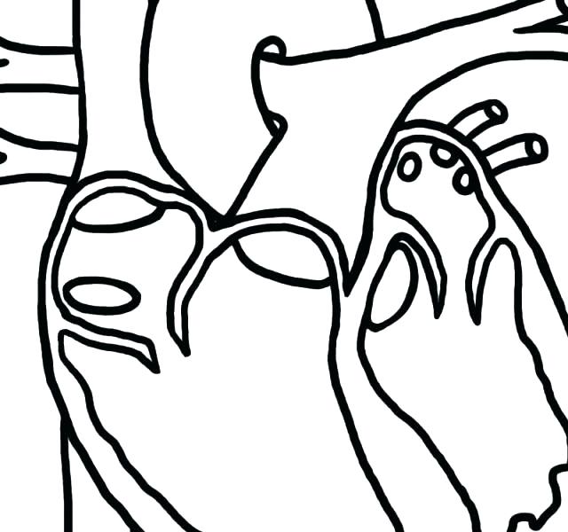 640x600 Dog Face Drawing At Free For Personal Use Dog Face Dog Face