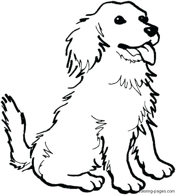 567x629 Dog Coloring Pages For Adults Together With Ideas About Mandala
