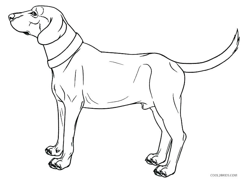 800x589 Snoopy Dog House Coloring Page Vanda