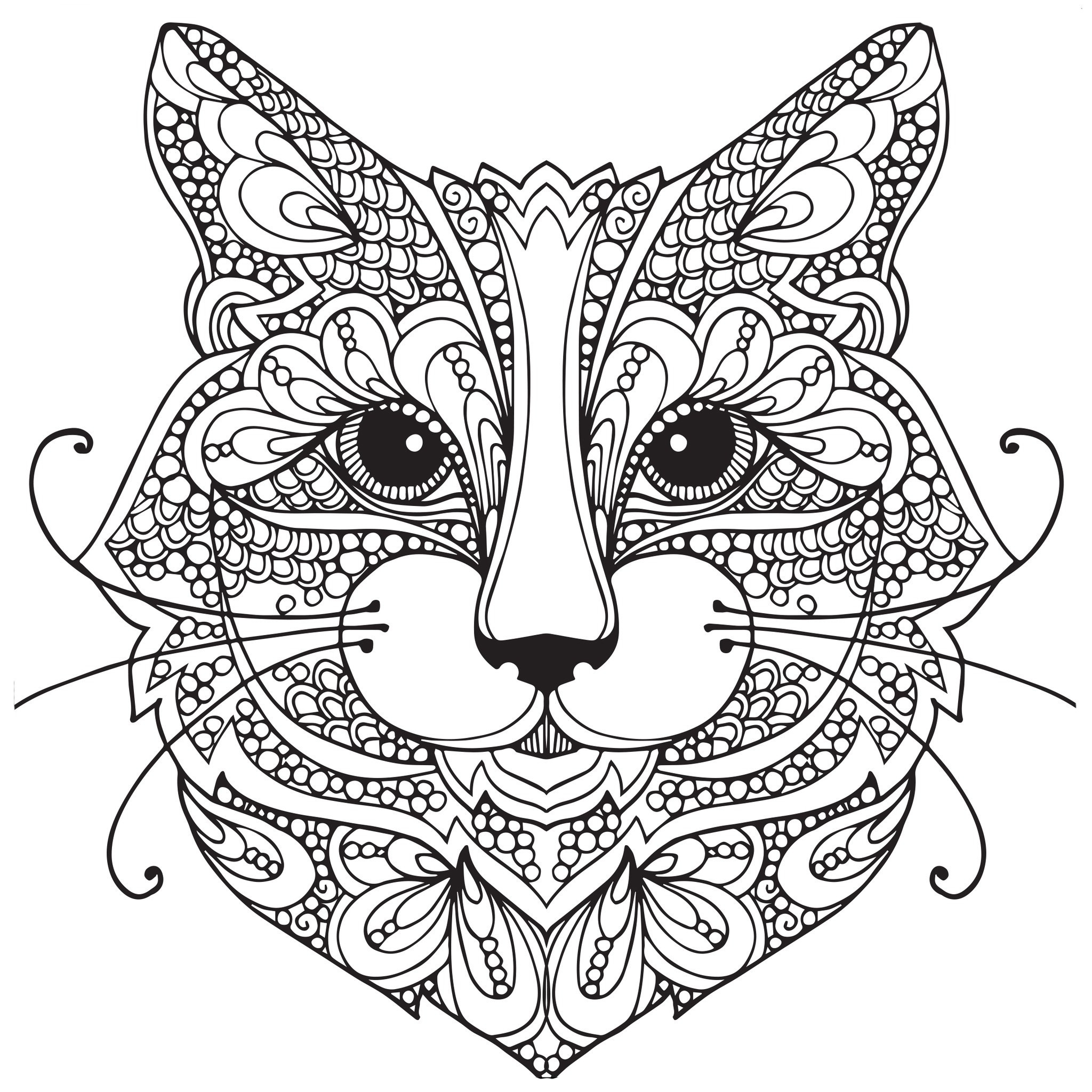 2048x2048 Cats Coloring Pages For Adults Wagashiya