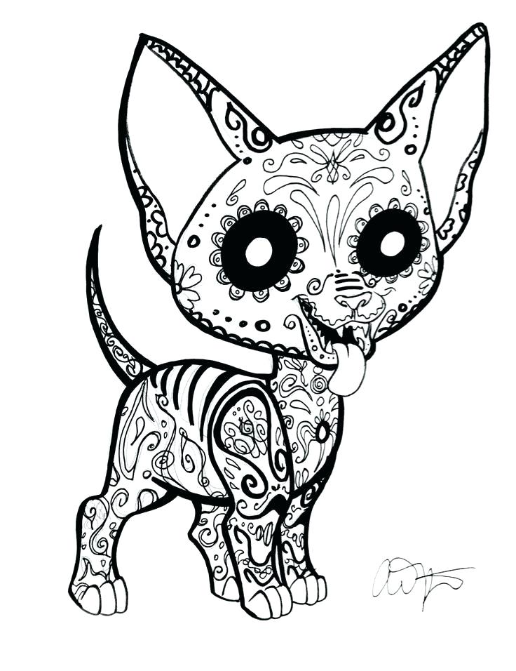 736x956 Color Pages Of Dogs Chihuahua Coloring Page Pics Photos Chihuahua