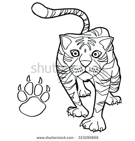 450x470 Paw Print Coloring Page Tiger With Paw Print Coloring Page Vector