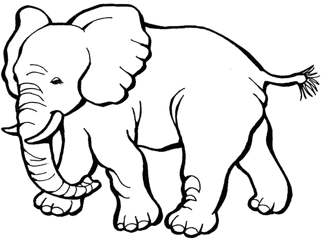 1025x762 Animal Print Coloring Pages Cute Animal Print Coloring Pages