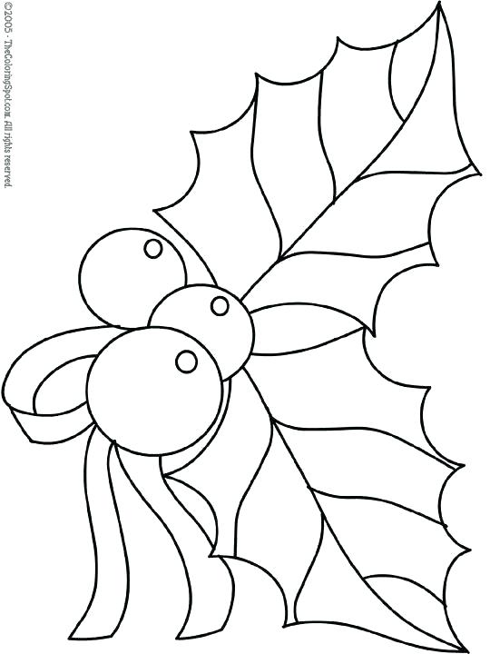 540x720 Paw Print Coloring Pages