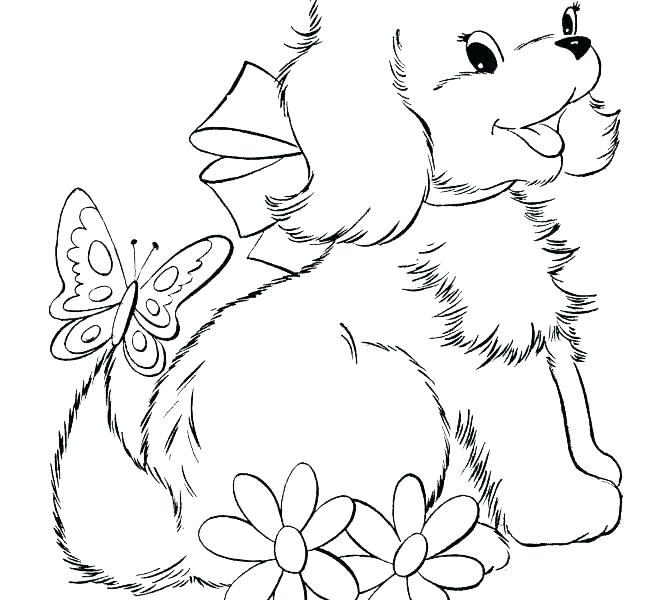 670x600 Sled Coloring Pages Free Printable Puppy Coloring Pages Puppy