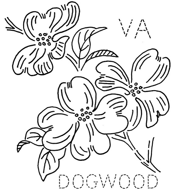 564x640 Dogwood Coloring Pages
