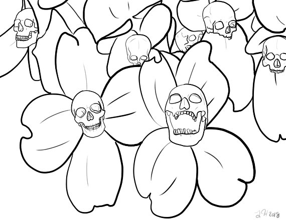 570x440 Skull And Dogwood Flowers Coloring Page